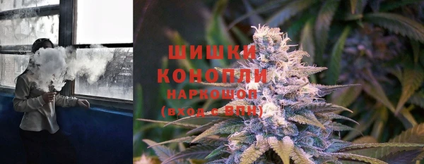 PSILOCYBIN Волоколамск