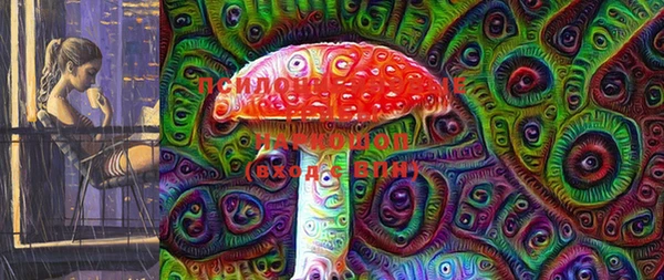 PSILOCYBIN Волоколамск