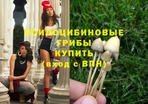синтетический гашиш Верхний Тагил