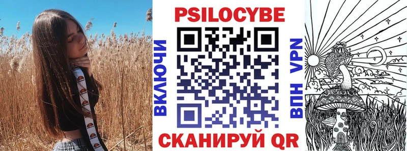 Купить  Лахденпохья  Галлюциногенные грибы Psilocybine cubensis 